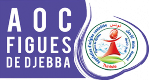 AOC Figues de djebba logo